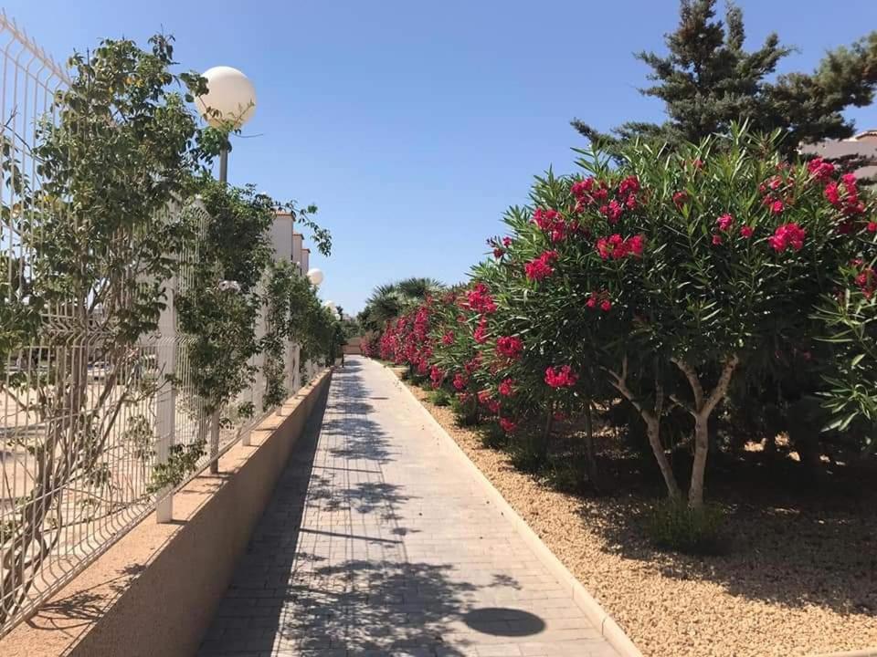 Appartamento Casa Punta Prima Orihuela Esterno foto